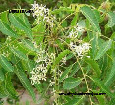 Neem Flower Powder | Simple Indian Recipes
